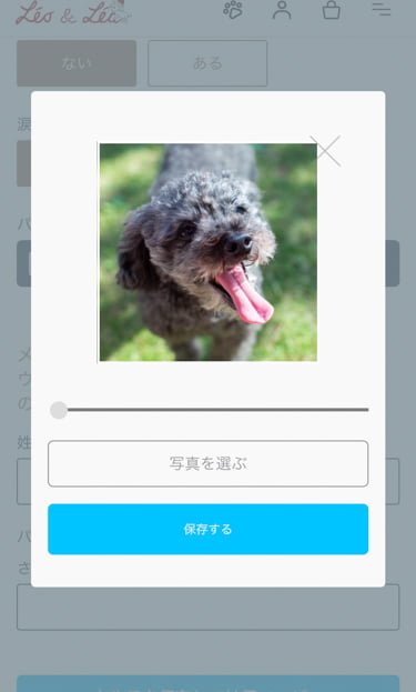 レオ&レアドッグフードのマイカルテ登録方法8""