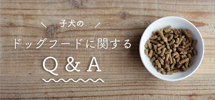 子犬用ドッグフードのQandA