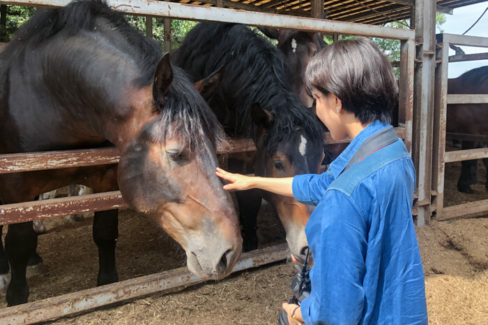 馬肉自然づくりドッグフードの肥育牧場2