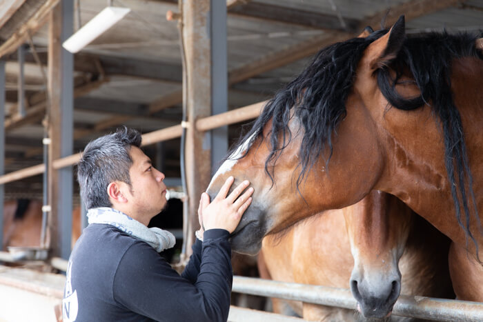 馬肉自然づくりドッグフードの肥育牧場の馬と鈴木田さん