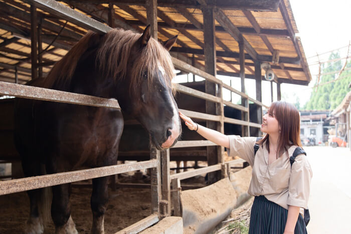 馬肉自然づくりドッグフードの肥育牧場の馬と澤田さん