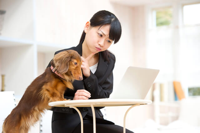 犬と女性