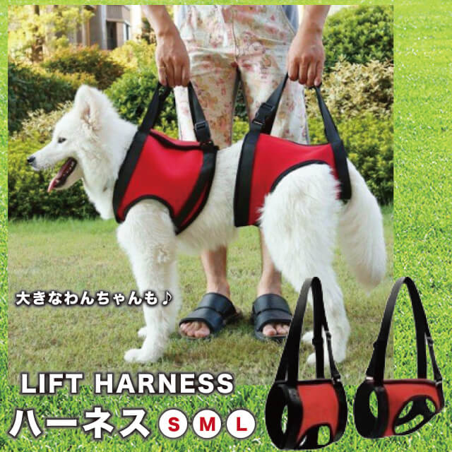 LIFT HARNESS ハーネス S・M・L