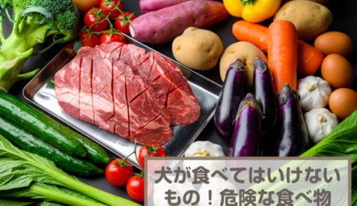 犬が食べてはいけないものは？食べてもいい野菜や果物なども紹介