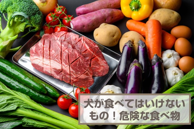 犬が食べてはいけないものは？食べてもいい野菜や果物なども紹介