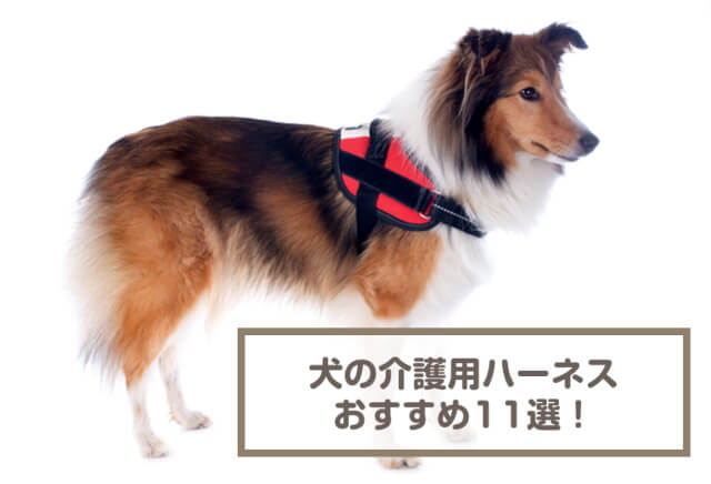 犬の介護用ハーネスおすすめ11選！後ろ足用ハーネスも紹介