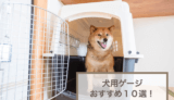 犬用のおすすめゲージ10選！おしゃれなものや頑丈なもの選び方などを紹介