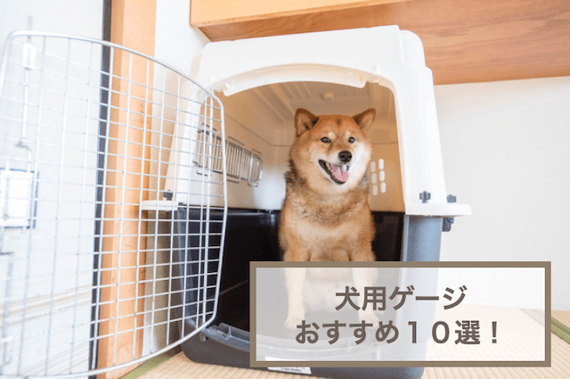 犬用のおすすめゲージ10選！おしゃれなものや頑丈なもの選び方などを紹介