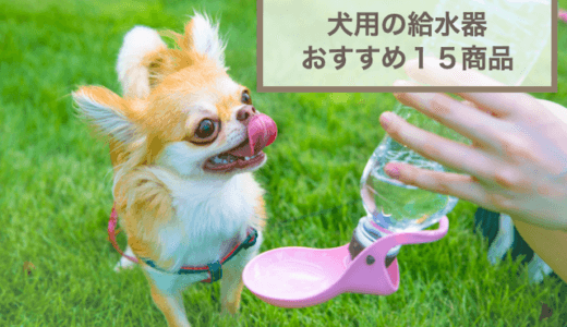 犬用のおすすめ給水器を15個紹介！おしゃれなものやペットボトルを利用できるものも紹介