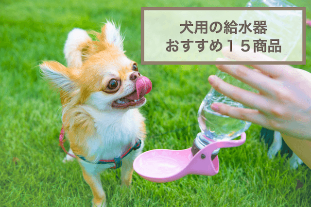 犬用のおすすめ給水器を15個！おしゃれなものやペットボトルを利用できるものも紹介