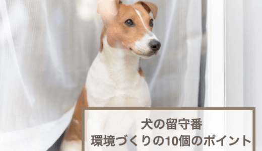 犬を留守番させるときの環境づくりの10個のポイントを紹介