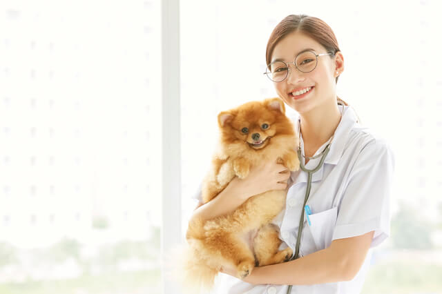 犬と獣医師