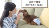 おすすめの犬用介護食10選！選び方や注意点なども紹介