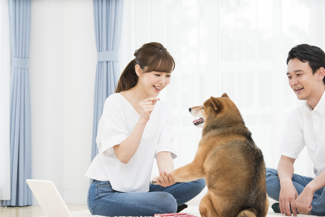 お手のしつけをする飼い主さんたち