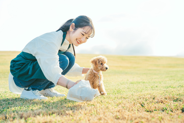 愛犬のトイレの処理をする飼い主さん