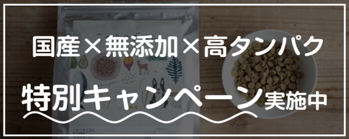 このこのごはん 特別キャンペーン