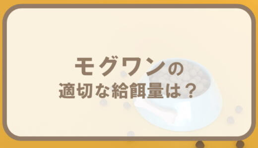 モグワンの給餌量！適量の計算方法・早見表【子犬・成犬・シニア犬】