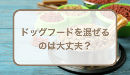 ドッグフードを混ぜるのは大丈夫？缶詰など二種類混ぜるのは？