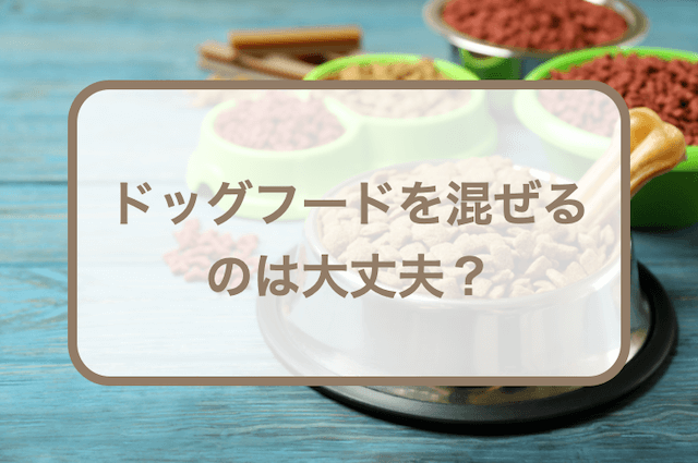 ドッグフードを混ぜるのは大丈夫？メリットデメリットやよくある質問Q&Aなども紹介