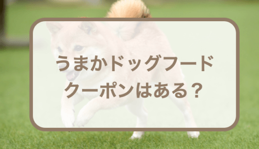 【10月最新】うまか(UMAKA)ドッグフードにクーポンはある？お得に購入する方法！