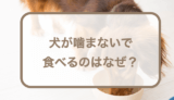 犬が噛まないで食べるのはなぜ？早食いや丸呑みをさせない対策も紹介！