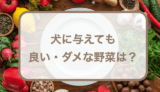 犬に与えても良い・ダメな野菜は？野菜を与えるメリットデメリットや注意点などの紹介！