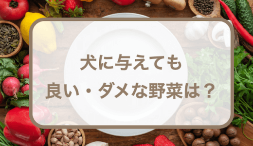 犬に与えても良い・ダメな野菜は？野菜を与えるメリットデメリットや注意点などの紹介！