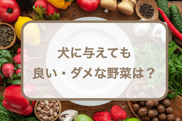 犬に与えても良い・ダメな野菜は？野菜を与えるメリットデメリットや注意点などの紹介！