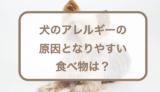 犬のアレルギーの原因となりやすい食べ物は？対処法やおすすめのドッグフードなども紹介