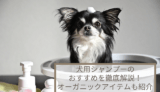 犬用シャンプー