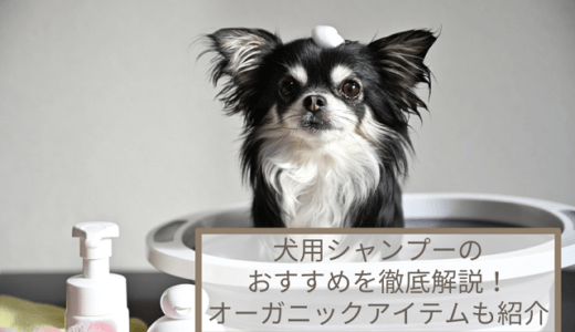 犬用シャンプーのおすすめ12選を解説！無添加・オーガニックアイテムも紹介