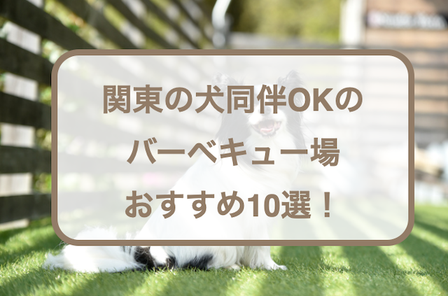 関東の犬同伴OKのバーベキュー場おすすめ10選！注意点なども紹介！