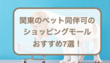 関東のペット同伴可のショッピングモールおすすめ7選！犬を連れて行く時の注意点も紹介！