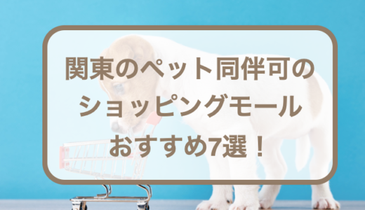 関東のペット同伴可のショッピングモールおすすめ7選！犬を連れて行く時の注意点も紹介！