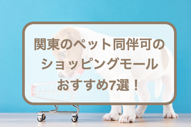 関東のペット同伴可のショッピングモールおすすめ7選！犬を連れて行く時の注意点も紹介！