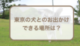 東京の犬とお出かけできる場所は？公園・カフェ・レストランなどを紹介！