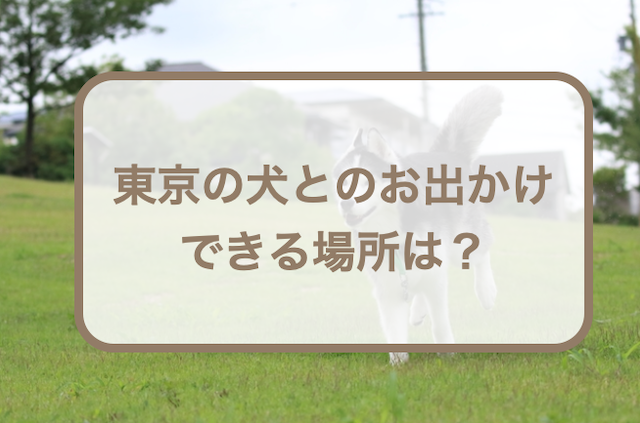 東京の犬とお出かけできる場所は？公園・カフェ・レストランなどを紹介！