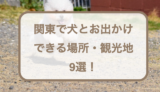 関東で犬とお出かけできる場所・観光地9選！お出かけの注意点や持ち物なども紹介！