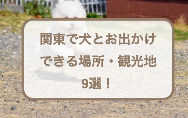 関東で犬とお出かけできる場所・観光地9選！お出かけの注意点や持ち物なども紹介！