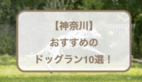 【神奈川】おすすめのドッグラン10選！無料や貸切可能なところも紹介！