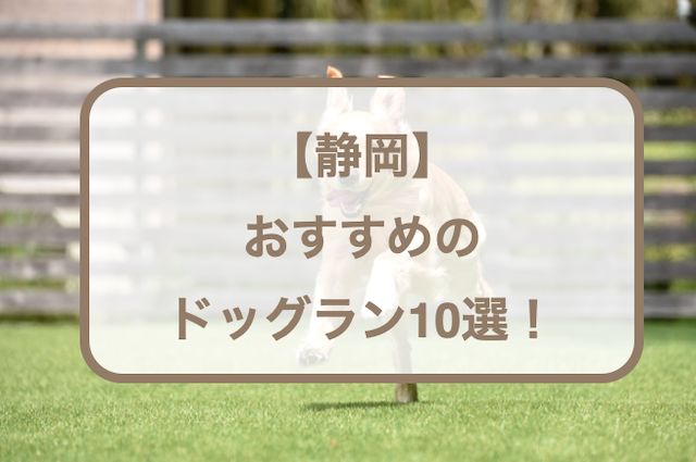 【静岡】おすすめのドッグラン10選！広い・貸切・プール付きなどをご紹介！