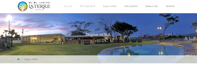 LATERRE ラテール「Dogrun sora」