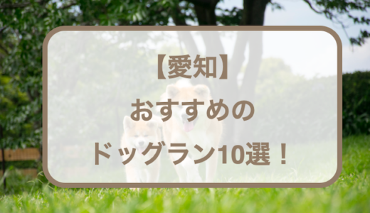 【愛知】おすすめのドッグラン10選！無料・室内・カフェ併設などをご紹介！