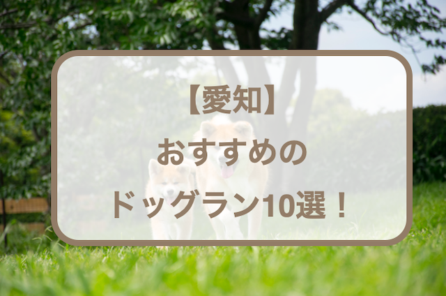 【愛知】おすすめのドッグラン10選！無料・室内・カフェ併設などをご紹介！