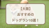 【大阪】おすすめのドッグラン10選！無料・広い・貸切可能などもご紹介！
