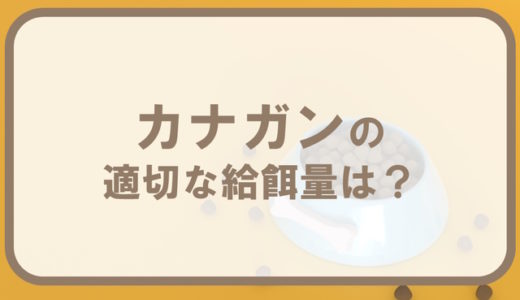 カナガンドッグフードの給餌量！子犬～シニア犬の量の計算方法