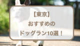 【東京】おすすめのドッグラン10選！無料・広い・芝生などをご紹介！