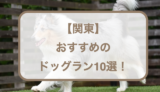 【関東】おすすめのドッグラン10選！無料・広い・天然芝などご紹介！