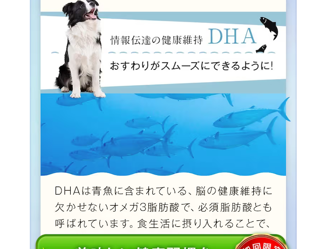 DHA配合のカームワン