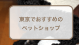 東京でおすすめのペットショップ！選ぶときのポイントも紹介！